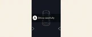 Kia Carnival instrument cluster 'Drive carefully' emergency braking message
