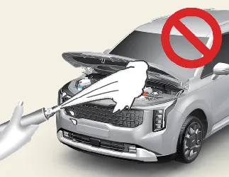 Warning: avoid direct water pressure in the Kia Carnival engine bay