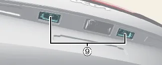 Kia Carnival license plate illumination lamp location
