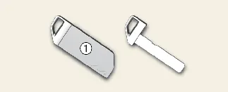 Removing the mechanical emergency key from the Kia Carnival smart key fob