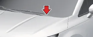 Location of the VIN label on the Kia Carnival dashboard
