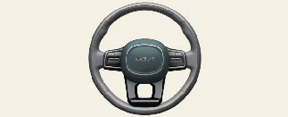 Location of the horn activation area on the Kia Carnival steering wheel